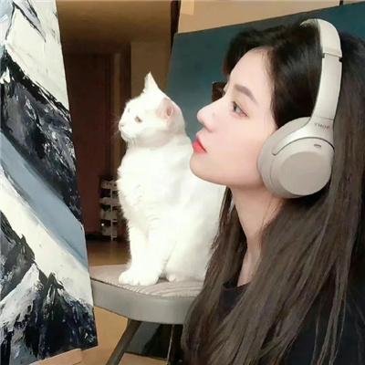 元首的面孔